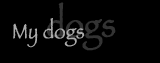Geminai Graphics - Kippy S. Lanker - Creating Dynamic Impressions. A page devoted to Lucaya, my Great Dane and Dante, my English Lab.