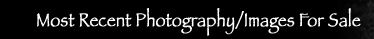 Geminai Graphics Photography - Artsy and Abstract Photography